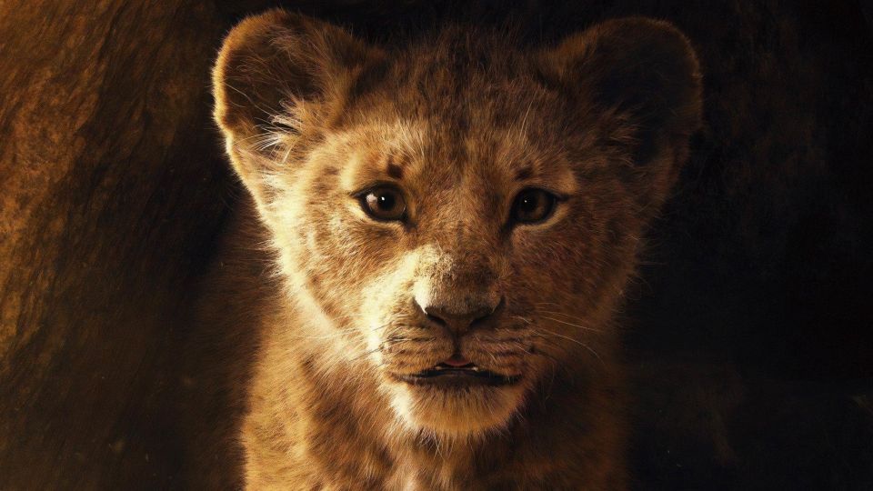 Aslan in The Chronicles of Narnia Looks So Much Better Than the CGI Lions  in The Lion King