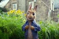 Peter Rabbit