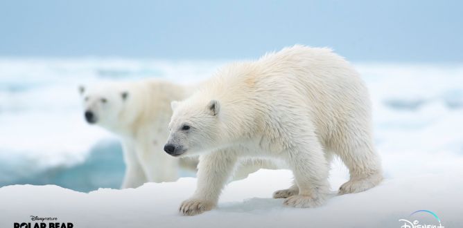 Polar Bear parents guide