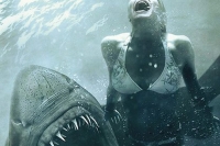 Shark Night