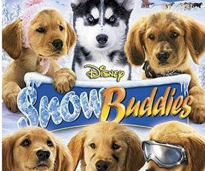 what happened to the puppies in air buddies