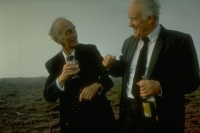 Waking Ned Devine