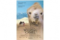 The Story of the Weeping Camel