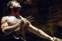 The Wolverine